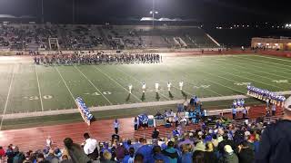 121120 LIndale High School Star Steppers [upl. by Nnaitsirhc]