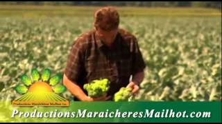 Production Maraîchères Mailhot inc [upl. by Mathia]