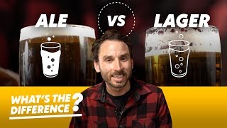 Ale vs Lager Beer — Whats the Difference [upl. by Aihsotal]