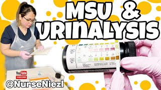 MSU amp URINALYSIS  NMC OSCE 🇬🇧 nurseniezl niezl2023 [upl. by Beattie]