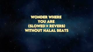 Wonder Where You Are nasheed slowed  reverb without halal beats nasheed islam [upl. by Loats]