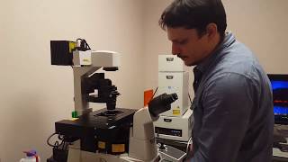 Confocal Microscopy Tutorial Part 1 Getting Started  Basic Operation [upl. by Lymann886]