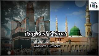 TOP Best 5 Naat Sharif😍top best naats naatsnaatsharifnaatwhatsappstatus naatstatus naatepaak [upl. by Erda703]