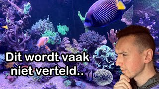 Deze 5 basisprincipes van je Zeeaquarium moeten op orde zijn [upl. by Bates]