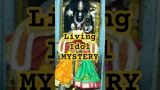 The Mystery of the Living Idol in Lakshmi Narasimha Temple [upl. by Ecirehc]