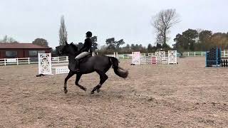 song of blackscull belle willow banks blue chip qualifier 90 [upl. by Ellehcen]