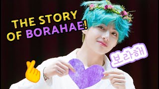 The Story of BORAHAE and its 𝗥𝗶𝗴𝗵𝘁𝘀 𝗖𝗼𝗻𝘁𝗿𝗼𝘃𝗲𝗿𝘀𝗶𝗲𝘀 💜😱 The meaning origin [upl. by Llerad]