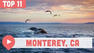 11 Best Things to Do in Monterey California [upl. by Alat436]