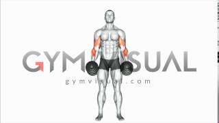 Dumbbell Cross Body Hammer Curl [upl. by Aun960]