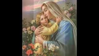 FELIZ DIA MADRE VIRGEN MARIA [upl. by Ahtrim]