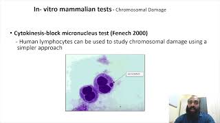 Genotoxicity and mutagenicity testing III Part 8 [upl. by Skye]