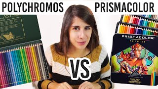 MIGLIORI MATITE per DISEGNARE Prismacolor VS Polychromos 🐸 [upl. by Hanah]