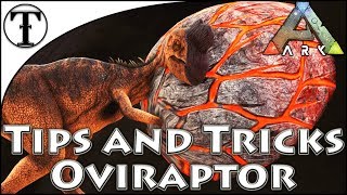 Fast Oviraptor Taming Guide  Ark  Survival Evolved Tips and Tricks [upl. by Custer]