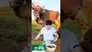 Dairy Farm Adventure Yili Milk Powder Flagship Store Delicious Goat Milk Double Enjoy Video Edit [upl. by Ahsaercal]