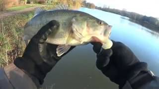 Pêche de carnassiers au leurre souple en étang  Brochet sandre blackbass [upl. by Mcclenon982]