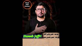 Mir Hasan Mir New Noha New WhatsApp Status Haseeb Jaffri creations [upl. by Rim452]