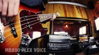 Gallien Krueger PLEX Preamp Amp Voices Vs Analog Amps [upl. by Wilmott]