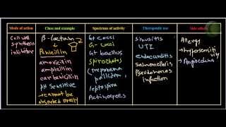 Penicillin antibiotics [upl. by Lebatsirhc]