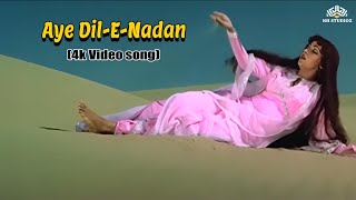 लता मंगेशकर का सबसे ज़ादा सुनने वाला गाना। Aye DilENadan  Hema Malini  Razia Sultan 1983 [upl. by Bove]