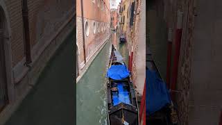 Il ponte di Venezia più bello venezia campanile sanmarco bell italy italia [upl. by Sherry]