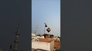 Flying 5 Kites At The Same Time 😱।। shorts kiteflying kitelooting kitechallenge challenge fun [upl. by Notnirt376]