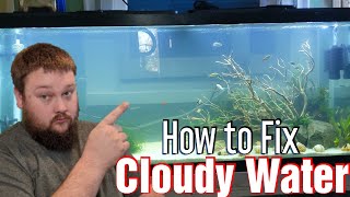 Cloudy aquarium water  how to fix it [upl. by Artimas944]