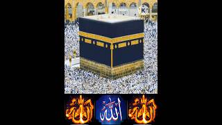 Baitullah Sharif Ziyarat 💝 baitullah makka kaba allah god video videos reel reels shorts [upl. by Niledam]