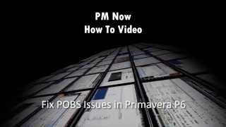 Primavera P6  Howto fix a POBS Issue in a XER File [upl. by Alraep]