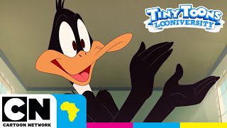 Spring Break  TINY TOONS LOONIVERSITY  Cartoon Network Africa [upl. by Creigh186]