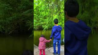 Kids read poem ‘Four ducks on the pond’ by William Allingham Farmleigh House amp Estate Phoenix Park [upl. by Dot]