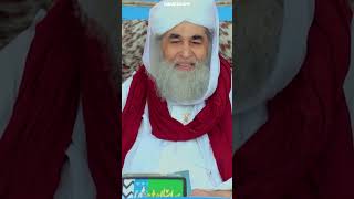 Kya Walida Ke Syed Hone Par Aulad Bhi Syed Kehlayegi syed parents mother shorts ilyasqadri [upl. by Daveta135]