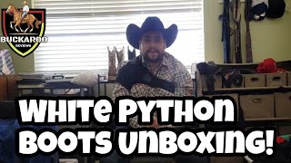 Unboxing amp Review White Exotic Python Leather Cowboy Boots from Amazon [upl. by Kurtzman710]