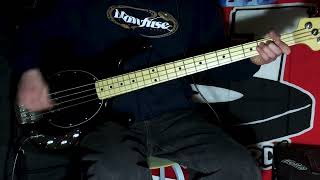 blink182  Josie Bass Cover [upl. by Ewer932]