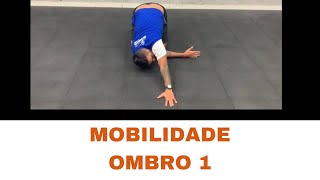 MOBILIDADE  OMBRO 1 [upl. by Oad82]