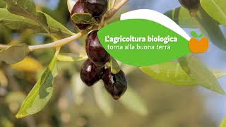 SANA18  Alimentazione biologica SANAfood Bologna 710 settembre [upl. by Eberto]