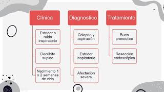 Embriologia Anatomia Fisiologia OIDO [upl. by Fax172]