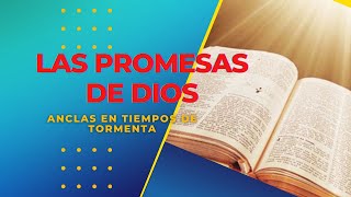 LAS PROMESAS DE DIOS [upl. by Yrelbmik]