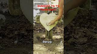 Dubest tik tok trends part 1relatable dumbtiktoktrendsshorts fyp cleaninggraves [upl. by Nollahp]