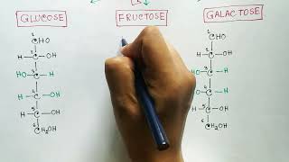 Carbohydrates  Monosaccharides  Glucose  Fructose  Galactose [upl. by Bonacci774]