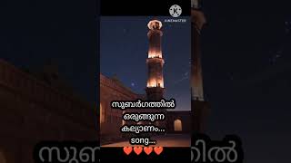 Madh song newhabitvlogs malayalam [upl. by Spear505]