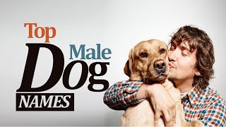 Top Male Dogs Names  Unique Male Dog Names 2020  English Vocabulary [upl. by Adne]