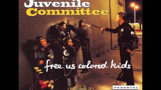 Juvenile Committee  Justice For The Hood [upl. by Ztnaj849]