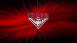 AFL Theme Song Essendon Bombers Football Club [upl. by Asnarepse732]