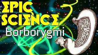 Borborygmi  Epic Science 7 [upl. by Aimar]