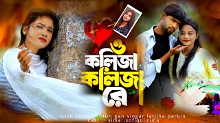 ও কলিজা কলিজা রে  o kolija kolija re  larjina parbin  o kolija kolija re gaan  ns music company [upl. by Lorelle923]