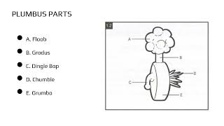 Plumbus Owners Manual How to Use and Maintain Your Plumbus [upl. by Marks]