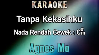 Tanpa Kekasihku Karaoke Agnes Mo  Nada Rendah Cewek Cm Agnes Monica [upl. by Storm]