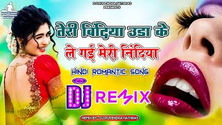 Teri Bindiya Uda ke Le Gai Meri Nidiya Dj Remix  Hindi Romantic Song  Old Is Gold Song  90s Song [upl. by Kirst227]