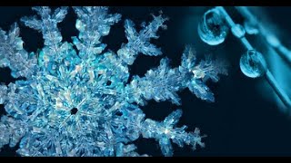 💦❄️💦 La mémoire de leau  Dr Masuro Emoto 💦❄️💦 [upl. by Yhtrod922]