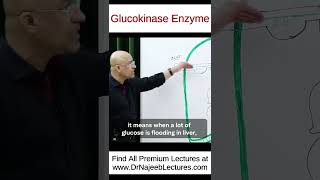 Glucokinase Enzyme shorts shortvideo drnajeeb [upl. by Lotte]